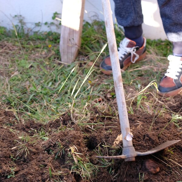 Alunos trabalham o tema da compostagem na escola de Campos,  Vila Nova de Cerveira