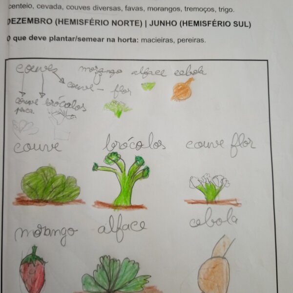 Alunos trabalham o tema de Compostagem na escola de Covas