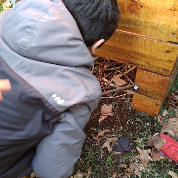 Alunos trabalham o tema de Compostagem na escola de Vila Nova de Cerveira