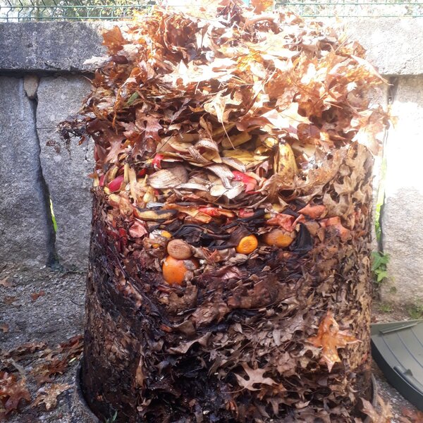 Alunos trabalham o tema da Compostagem na escola de Mazedo